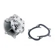 Pompe à eau TEKNÖR CPW-PL-050 - Visuel 2