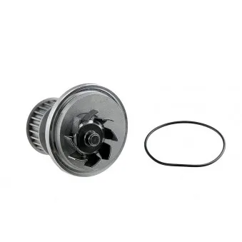 Pompe à eau TEKNÖR CPW-PL-052