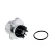 Pompe à eau TEKNÖR CPW-RE-042 - Visuel 1