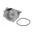 Pompe à eau TEKNÖR CPW-RV-006 - Visuel 2