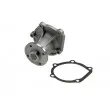 Pompe à eau TEKNÖR CPW-TY-035 - Visuel 2