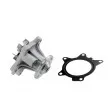 Pompe à eau TEKNÖR CPW-TY-093 - Visuel 2