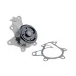 Pompe à eau TEKNÖR CPW-TY-094 - Visuel 2