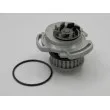 Pompe à eau TEKNÖR CPW-VW-003 - Visuel 2