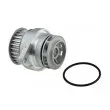 Pompe à eau TEKNÖR CPW-VW-024 - Visuel 1