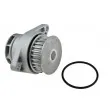 Pompe à eau TEKNÖR CPW-VW-024 - Visuel 2