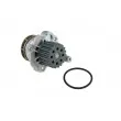 Pompe à eau TEKNÖR CPW-VW-036 - Visuel 2