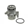 Pompe à eau TEKNÖR CPW-VW-050 - Visuel 2