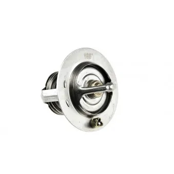 Thermostat d'eau TEKNÖR CTM-CH-000