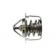 Thermostat d'eau TEKNÖR CTM-CH-000 - Visuel 3