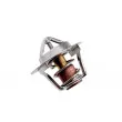Thermostat d'eau TEKNÖR CTM-CH-001 - Visuel 2