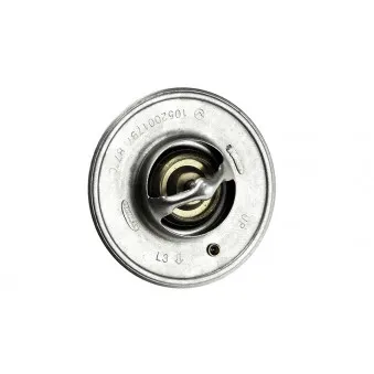 Thermostat d'eau TEKNÖR CTM-CH-002