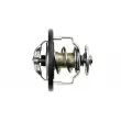 Thermostat d'eau TEKNÖR CTM-CH-005 - Visuel 3