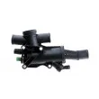 Thermostat d'eau TEKNÖR CTM-CT-003 - Visuel 3