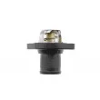 Thermostat d'eau TEKNÖR CTM-PE-002 - Visuel 3