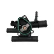 Thermostat d'eau TEKNÖR CTM-RE-003 - Visuel 3