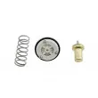 Thermostat d'eau TEKNÖR CTM-VW-039 - Visuel 2