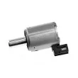 Valve de commande, boîte automatique TEKNÖR EAG-CT-000 - Visuel 1