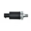 Indicateur de pression d'huile TEKNÖR ECC-CH-005 - Visuel 3