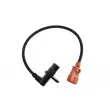 Capteur d'angle, vilebrequin TEKNÖR ECP-CT-003 - Visuel 1