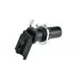 Capteur d'angle, vilebrequin TEKNÖR ECP-CT-005 - Visuel 2