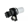 Capteur d'angle, vilebrequin TEKNÖR ECP-FR-004 - Visuel 2