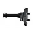 Bobine d'allumage TEKNÖR ECZ-LR-004 - Visuel 3
