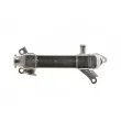 Radiateur, réaspiration des gaz d'échappement TEKNÖR EGR-BM-015 - Visuel 3