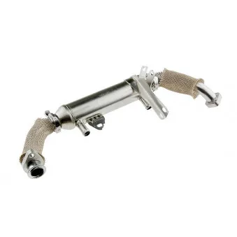 Radiateur, réaspiration des gaz d'échappement TEKNÖR EGR-FT-009A