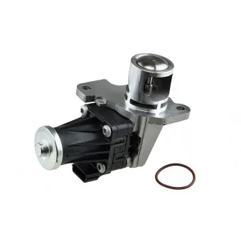 Vanne EGR TEKNÖR EGR-RE-007