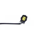 Sonde lambda TEKNÖR ESL-CH-031 - Visuel 3
