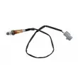 Sonde lambda TEKNÖR ESL-FT-003 - Visuel 1