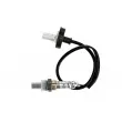 Sonde lambda TEKNÖR ESL-MS-011 - Visuel 1