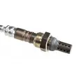 Sonde lambda avant TEKNÖR ESL-MS-012 - Visuel 2