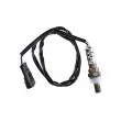 Sonde lambda TEKNÖR ESL-PL-002 - Visuel 1