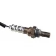 Sonde lambda TEKNÖR ESL-PL-002 - Visuel 2