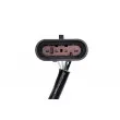 Sonde lambda TEKNÖR ESL-PL-002 - Visuel 3