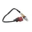 Sonde lambda TEKNÖR ESL-SB-000 - Visuel 1
