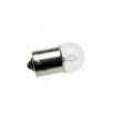 Courroie crantée TEKNÖR EZ-R10W - Visuel 2