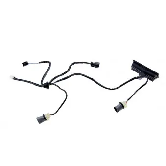 Interrupteur, hayon TEKNÖR EZC-LR-011