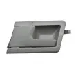 Poignet de porte, équipment intérieur avant gauche TEKNÖR EZC-VW-094 - Visuel 3