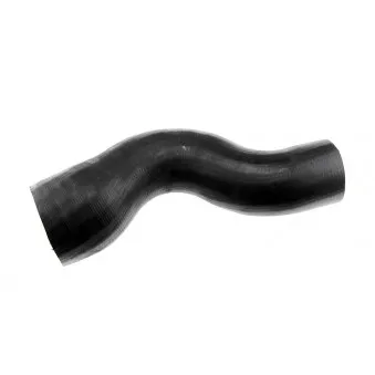 Durite de radiateur TEKNÖR GPP-PL-020