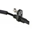 Capteur, vitesse de roue arrière TEKNÖR HCA-CT-024 - Visuel 2