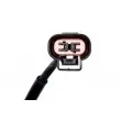 Capteur, vitesse de roue arrière droit TEKNÖR HCA-MS-036 - Visuel 3