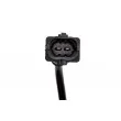 Capteur, vitesse de roue avant TEKNÖR HCA-PL-007 - Visuel 3
