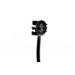 Capteur, vitesse de roue avant TEKNÖR HCA-PL-008 - Visuel 3