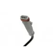 Kit de roulements de roue avant TEKNÖR KLP-PL-021 - Visuel 3