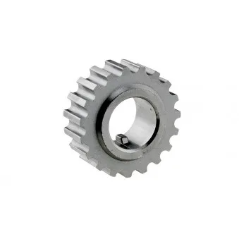 Roue dentée, vilebrequin TEKNÖR