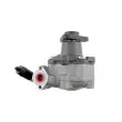 Pompe hydraulique, direction TEKNÖR SPW-AU-001 - Visuel 3
