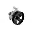 Pompe hydraulique, direction TEKNÖR SPW-CT-014 - Visuel 1